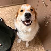 Thumbnail photo of Quinn #2