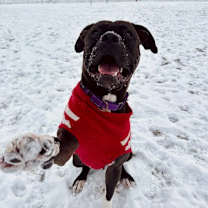 Thumbnail photo of Ash #1