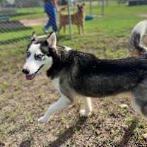 Thumbnail photo of Julie  #1