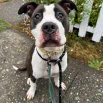 Thumbnail photo of Trudy #1