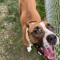 Thumbnail photo of RIVER #1