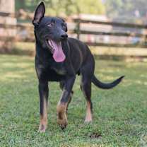 Thumbnail photo of Rey (Formerly Rory) #1