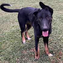 Thumbnail photo of Rey (Formerly Rory) #3