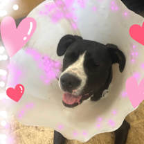 Thumbnail photo of Molly Brown #1