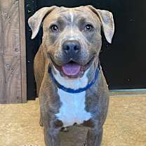 Thumbnail photo of Grant-Foster #4