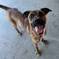 Thumbnail photo of Dolly* #1