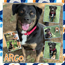 Thumbnail photo of Argo #1