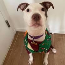 Thumbnail photo of Banks #3