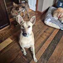 Thumbnail photo of MAGGIE local sf #2