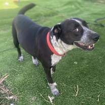 Thumbnail photo of Summer #4