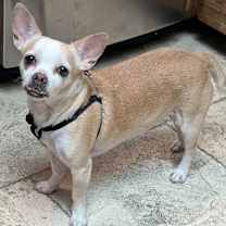 Thumbnail photo of MURPHY #2