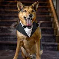 Thumbnail photo of Novak #4