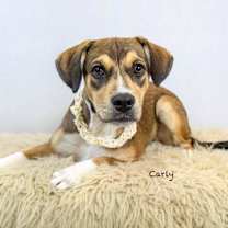 Thumbnail photo of Carly #2