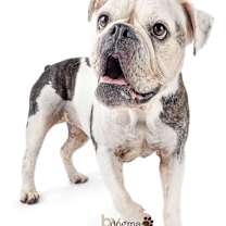 Thumbnail photo of Joy #3