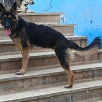 Thumbnail photo of Tripod Vicki #4