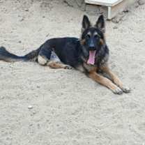 Thumbnail photo of Tripod Vicki #1