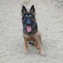 Thumbnail photo of Tripod Vicki #2