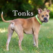 Thumbnail photo of Tonks #1