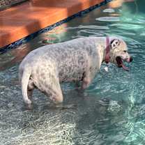 Thumbnail photo of Princess #4