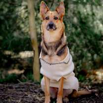 Thumbnail photo of Rhea #2