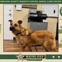 Thumbnail photo of Ellis #1