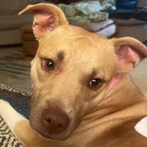 Thumbnail photo of Leena #1