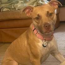 Thumbnail photo of Leena #2