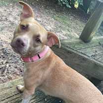 Thumbnail photo of Leena #3