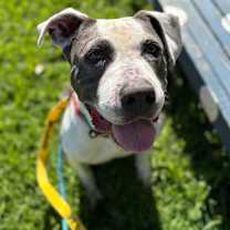 Thumbnail photo of Joe #4