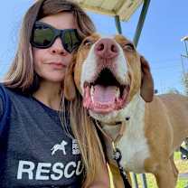 Thumbnail photo of Bandito #3