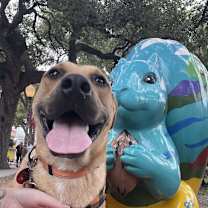 Thumbnail photo of Rover #2