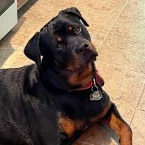 Thumbnail photo of Murphy #1