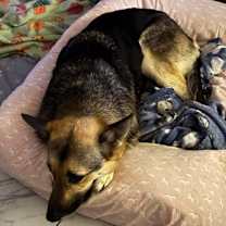 Thumbnail photo of Cassie #1