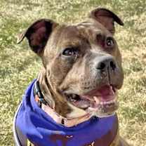 Thumbnail photo of Estelle #1