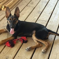 Thumbnail photo of Mikey #1