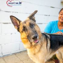 Thumbnail photo of Max #2