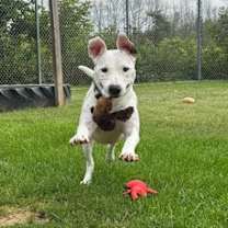 Thumbnail photo of Kilo #2