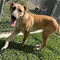 Thumbnail photo of RUBY #1