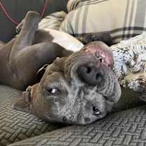 Thumbnail photo of Fred #2