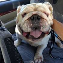 Thumbnail photo of Mack #4