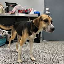 Thumbnail photo of Aspirin #3