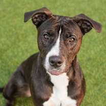 Thumbnail photo of Bubbles #2