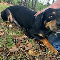 Thumbnail photo of Murphy #2