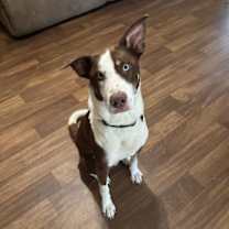 Thumbnail photo of Theo II (New Digs) #1