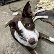 Thumbnail photo of Theo II (New Digs) #2