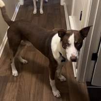 Thumbnail photo of Theo II (New Digs) #3