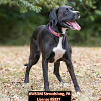 Thumbnail photo of Mady #2