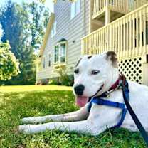 Thumbnail photo of Rowan #4