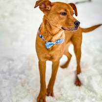 Thumbnail photo of Toast #1