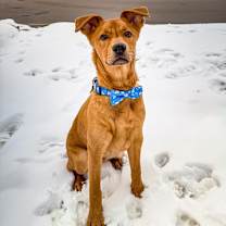 Thumbnail photo of Toast #2